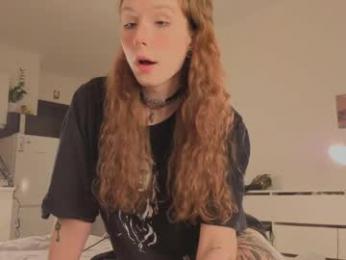 poli_blink webcam model stream image