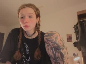 poli_blink webcam model stream image