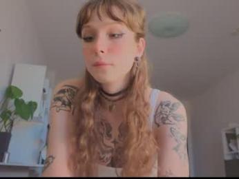 poli_blink webcam model stream image