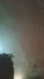 Comandante07 webcam model stream image