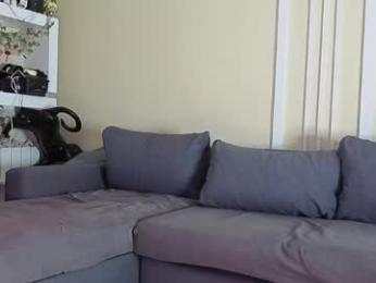 viksons webcam model stream image