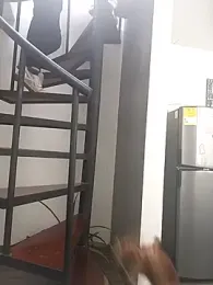 Fernandar2025 webcam stripchat model stream image