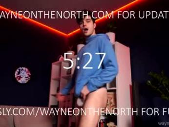 waynenorth webcam chaturbate model stream image