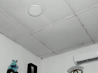 Thiago Belmont webcam model stream image