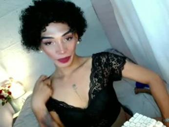 uncut_queen webcam chaturbate model stream image