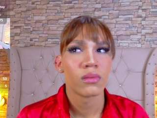 sarasmit webcam model stream image