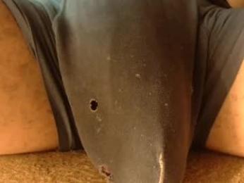 withbothhandsplease webcam model stream image