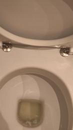 francesc80 webcam model stream image