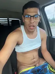 StrokingDaddy4 webcam model stream image