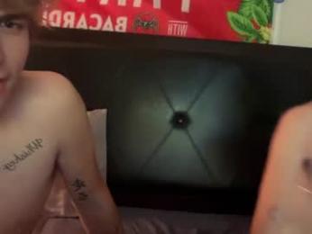 thevincegray webcam model stream image