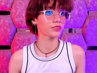 northhale webcam model stream image