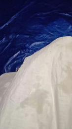 Exoticboy24 webcam model stream image