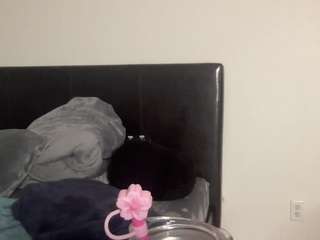 t1ger camsoda stream image, 04.08.2025 23:30