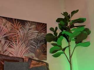 nicoleriveraa camsoda stream image, 16.02.2025 16:40