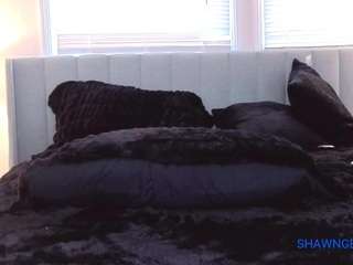 shawn-geni camsoda stream image, 26.10.2025 16:10