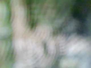 stalliontheesavage camsoda stream image, 06.11.2025 08:50