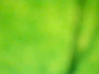 stalliontheesavage camsoda stream image, 15.11.2025 23:10