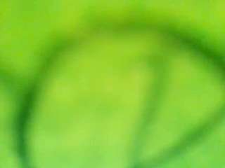 stalliontheesavage camsoda stream image, 15.11.2025 23:10