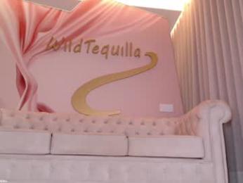 wildtequilla chaturbate stream image, 12.01.2026 21:20