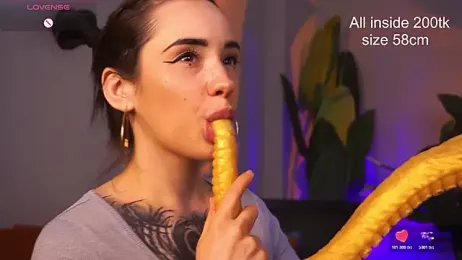 EvaCanton stripchat stream image