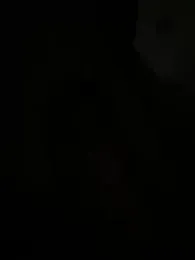 Gipoltergeist stripchat stream image