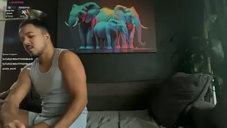 highlatin_guysoficial stripchat stream image