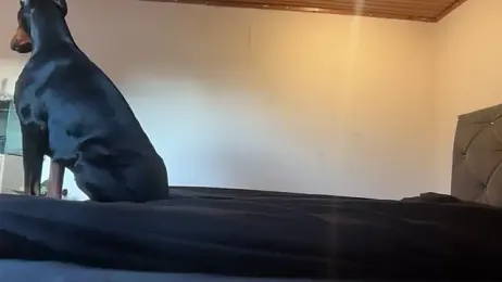 ClaireDeLunee stripchat stream image