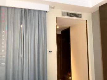 palmiratownzen chaturbate stream image, 19.04.2026 09:10