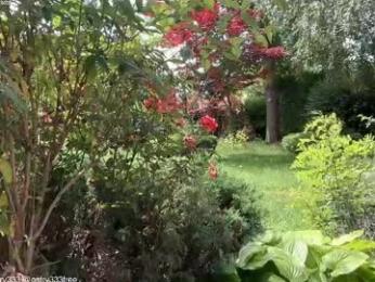 patry333 chaturbate stream image, 06.06.2026 04:40