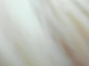 sassyt33n chaturbate stream image, 02.07.2026 07:20