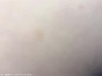 honey_sunshine chaturbate stream image, 20.03.2025 08:40