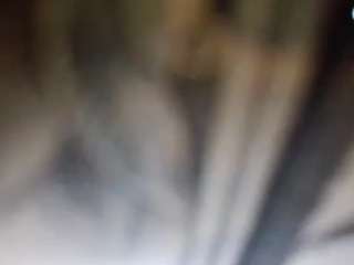 stalliontheesavage camsoda stream image, 15.04.2025 03:10