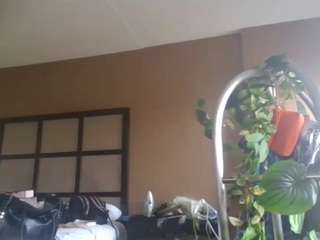 stalliontheesavage camsoda stream image, 22.04.2025 17:10
