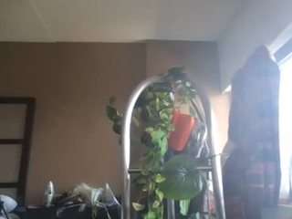 stalliontheesavage camsoda stream image, 22.04.2025 17:10