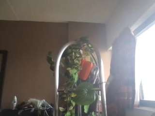 stalliontheesavage camsoda stream image, 22.04.2025 17:10