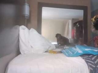 stalliontheesavage camsoda stream image, 27.04.2025 05:50